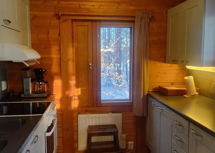 Okkolan Alpstuga Puumala